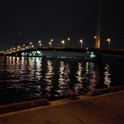 南港カモメ大橋ヘチ釣行 （キビレ32cm釣果のみ！ｗ）