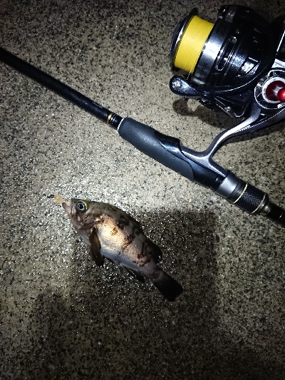 雨の日は釣れる？