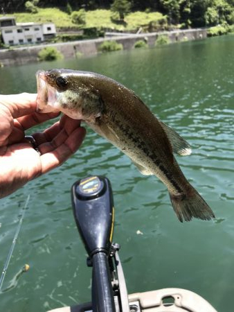 一匹釣って急用で撤収