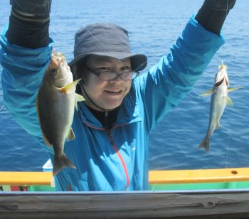 土佐安芸のハマちゃんの釣果