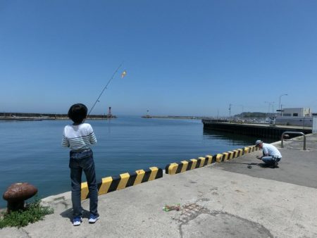 小島漁港でファミリーフィッシング