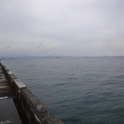 初めての和歌山北港魚釣り公園