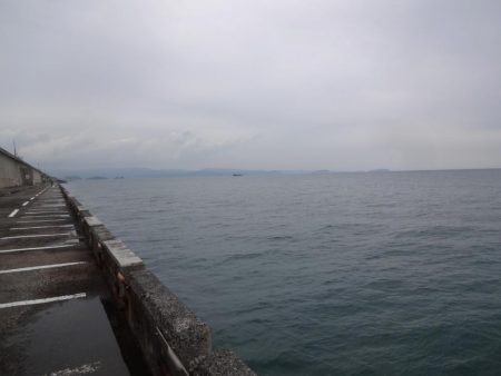 初めての和歌山北港魚釣り公園