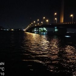 南港カモメ大橋ヘチ釣行 （キビレ32cm,31cm,25cmUP 釣果）