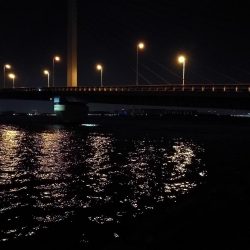 雨天後の南港カモメ大橋のヘチ釣行 （キビレ34cm他釣果ギリギリ有りマスｗ）