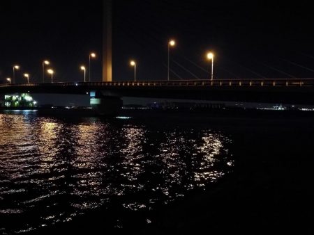 雨天後の南港カモメ大橋のヘチ釣行 （キビレ34cm他釣果ギリギリ有りマスｗ）