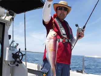 冠島でタイラバ釣行