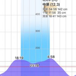 安治川シーバス