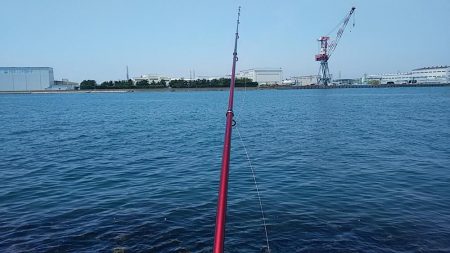 東二見人工島へ連日釣行しました