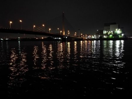 南港カモメ大橋釣行 （42cm,31cm,41cmキビレチヌ釣果有り）