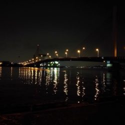 南港カモメ大橋のヘチ釣行 （小キビレ、黒メバル25ｃｍ釣果他有り！）