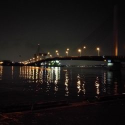 南港カモメ大橋のヘチ釣行 （キビレ30cm、ガシラ釣果）