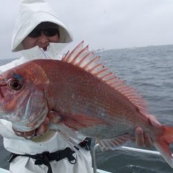 正将丸 釣果