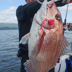 遊漁船ブルーウッズ 釣果