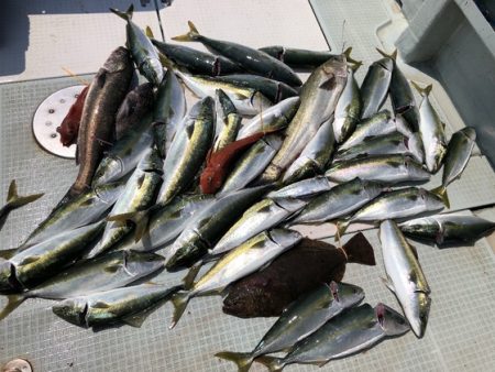 ふじしめ丸 釣果