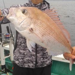 清和丸 釣果