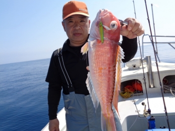 鯛紅丸 釣果