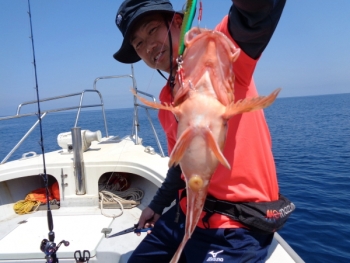 鯛紅丸 釣果