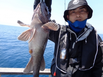 鯛紅丸 釣果