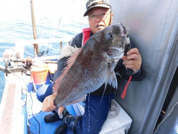 鯛紅丸 釣果