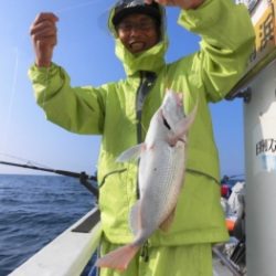 鯛紅丸 釣果