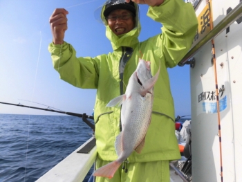 鯛紅丸 釣果