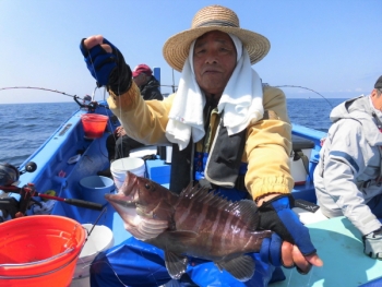 鯛紅丸 釣果