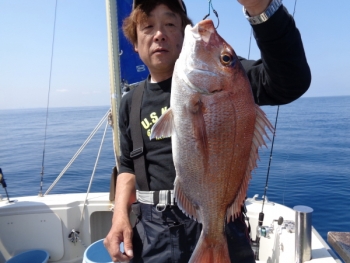 鯛紅丸 釣果