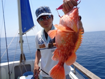 鯛紅丸 釣果