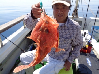 鯛紅丸 釣果