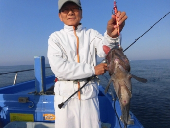 鯛紅丸 釣果