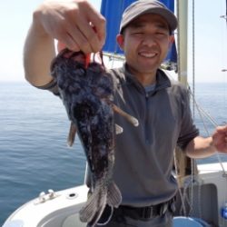 鯛紅丸 釣果