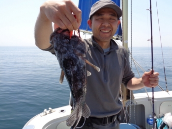 鯛紅丸 釣果