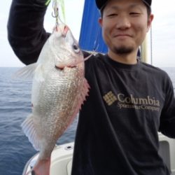 鯛紅丸 釣果