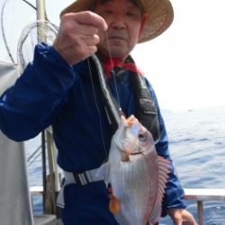 鯛紅丸 釣果