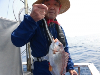 鯛紅丸 釣果