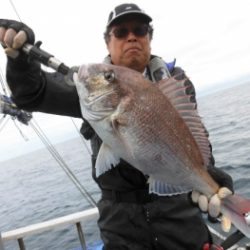 鯛紅丸 釣果