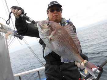 鯛紅丸 釣果