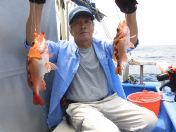 鯛紅丸 釣果