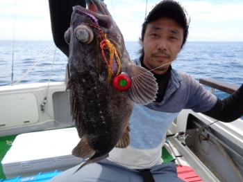 鯛紅丸 釣果