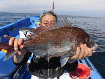 鯛紅丸 釣果