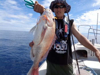 鯛紅丸 釣果