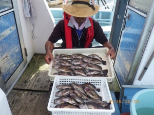 石川丸 釣果