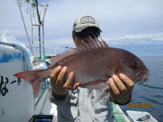 なかくに丸 釣果