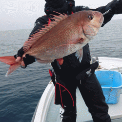 遊漁船ブルーウッズ 釣果