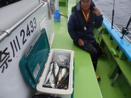 久里浜黒川本家 釣果