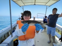 おおせき丸 釣果