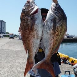 千代丸 釣果