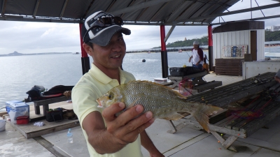 本部釣りイカダ 釣果