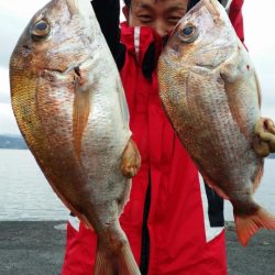 オーフリー 釣果